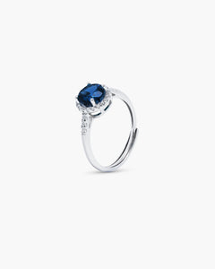 Éclatant Sapphire Ring- AriaEcho Jewelry