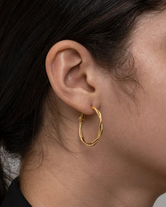 Timeless Gold Looped Earrings - AriaEcho Jewelry